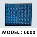 6000
